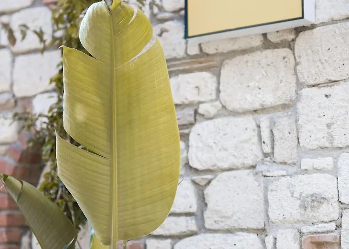 Voq Alacati * Кешме