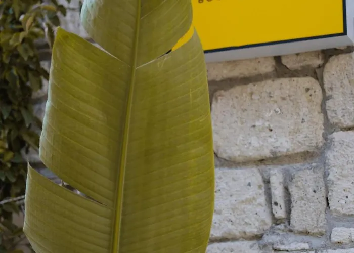 Voq Alacati فندق مبيت وإفطار Çeşme